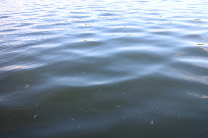 ies-envirocom-2016-slow-shutter-speed