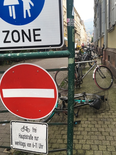 Bikes go everywhere signs
