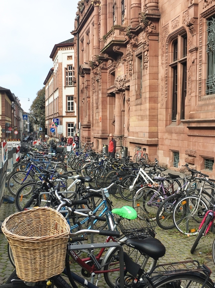 University of Heidelberg bike stands